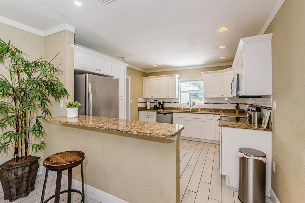 Beautiful Pool House In Old Seminole Heights! Villa Tampa Exterior photo
